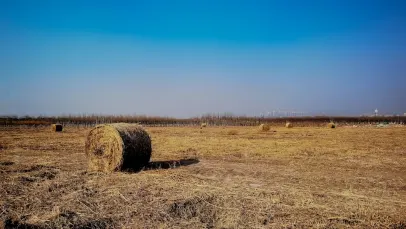 Casino Lucky Pants Bingo Aip Soghluaiste